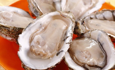 山东威海乳山牡蛎上市 打造全产业链发展模式