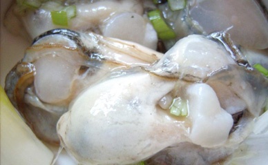 山东威海乳山市海渔局加强指导为牡蛎养殖保驾护航